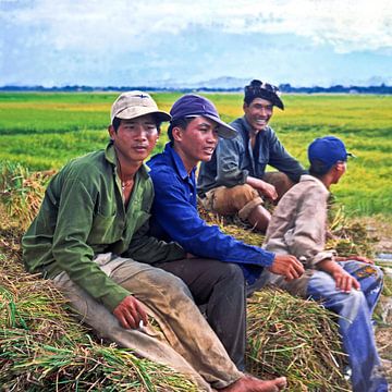 Riziculteurs vietnamiens dans les champs à Nha Trang sur Silva Wischeropp
