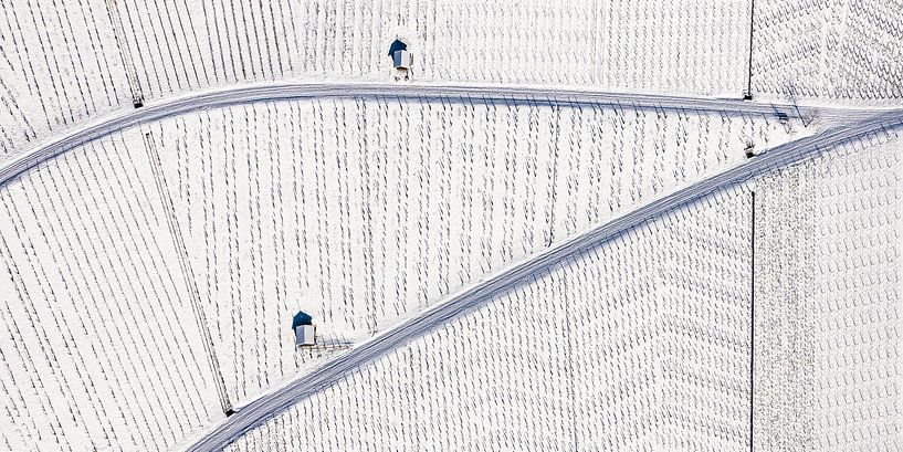 Aerial view vineyard in Stuttgart in winter by Werner Dieterich