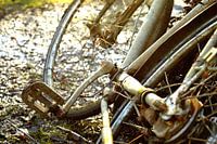 Bicycle detail