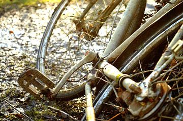 Fietsdetail van Richella Nouwens