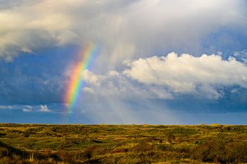Regenbogen in den Dünen auf der Insel Texel in der Wattenmeerregion von Sjoerd van der Wal