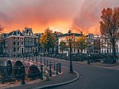Amsterdam Apacolypse #2 van Roger Janssen thumbnail