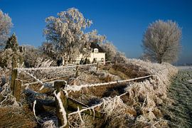 Un lieu de rêve sur Thomas Boelaars