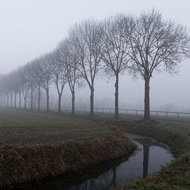 Beuningen 28-02-2021. Landscape in the outskirts of Beuningen in Maas and Waal. With ditch and row o by Ger Loeffen