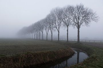 Beuningen 28-02-2021. Landschap in het buitengebied van Beuningen in Maas en Waal. Met sloot en bome van Ger Loeffen