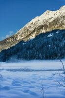 Winter landscape in the Alps