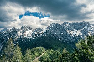 Blick auf das Grintovec-Gebirge von Goli vrh aus