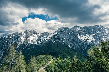 Blick auf das Grintovec-Gebirge von Goli vrh aus von Sjoerd van der Wal Fotografie