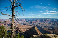 Grand Canyon National Park van Ton Tolboom thumbnail