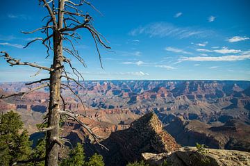 Grand Canyon National Park van Ton Tolboom