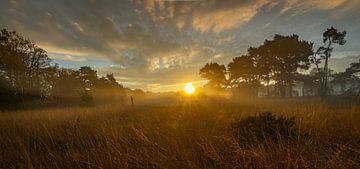Landschaft mit Sonnenaufgang.