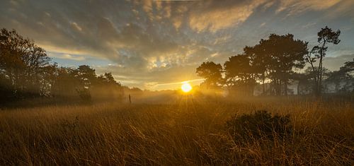 Paysage avec lever de soleil.