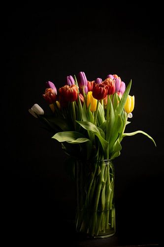 Tulpen
