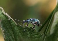 On the move