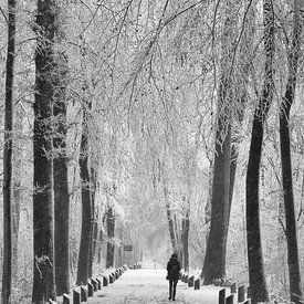 Sneeuw wandeling van Michel Van Zanten