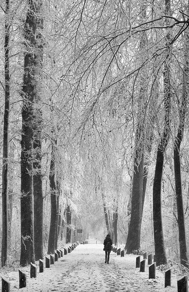 Sneeuw wandeling von Michel Van Zanten