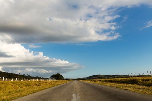 Cubaans landschap