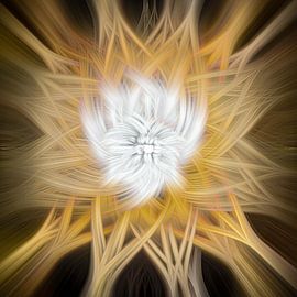 Radiant Whirlpool by Dietmar Meinhardt