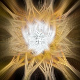 Radiant Whirlpool von Dietmar Meinhardt