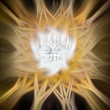 Radiant Whirlpool