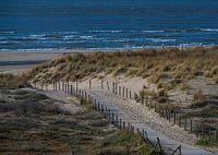 Chemin de la plage