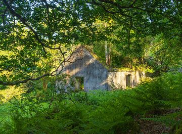 Killarney (Ireland) by Marcel Kerdijk