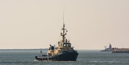De sleepboot onderweg naar de haven IJmuiden.