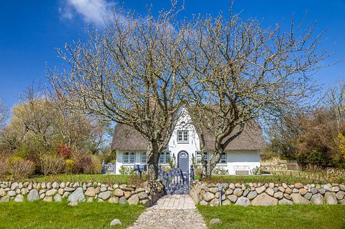 Mooi rieten huis met friesmuur in Morsum, Sylt