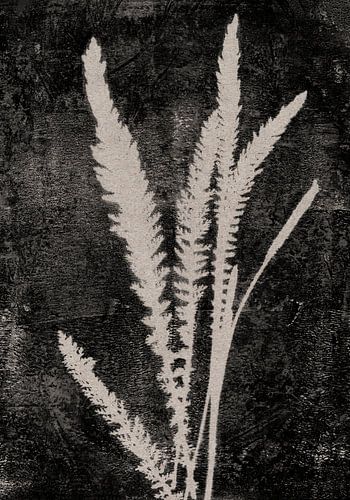 Witte bladeren op zwart. Wabi-sabi-stijl.