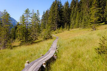 Hiking trail in the Alps