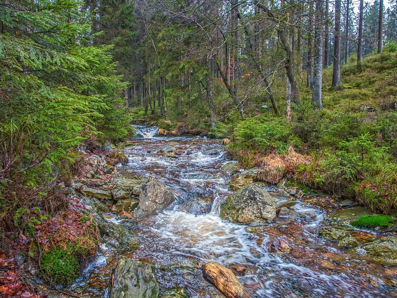 Tussen De Bomen en Rotsen Stromend River van Nature Life Ambience