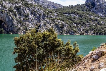 Gorg Blau stuwmeer op het Baleareneiland Mallorca, Spanje van Reiner Conrad