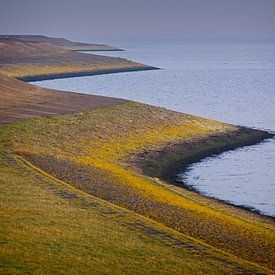 Slingerende dijk aan de kust van Theo Felten