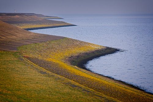 Winding dyke on the coast