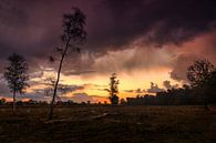 Regenachtige Zonsopkomst bij het Aekeringerzand van Ellen Thomassen thumbnail