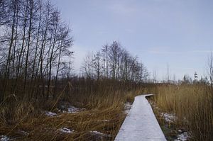 Wintergezicht van Ad Steenbergen