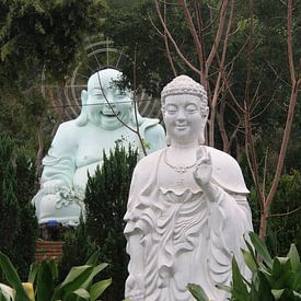 Happy Buddha sur Mr Greybeard