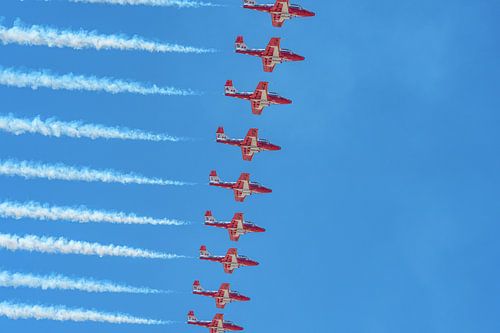 Canadian Armed Forces Snowbirds.