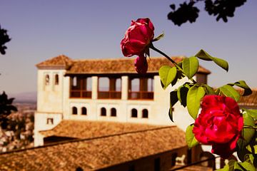 Generalife in Granada met roos van Travel.san