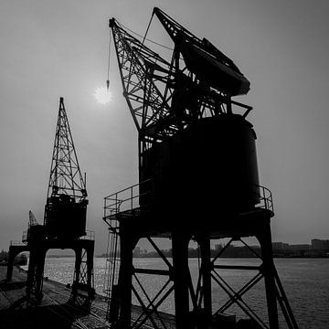 Silhouette de la grue sur Albert Mendelewski