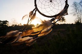 Dromenvanger in de wind von Marjolijn Barten