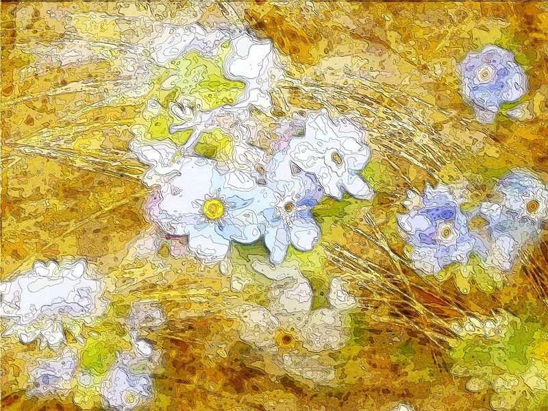 Fleur tendre 1 par Claudia Gründler