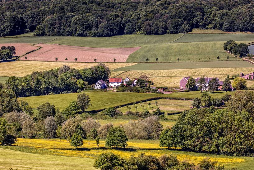 Half-timbered farmhouses Epen by Rob Boon