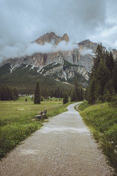 Wandelen door de bergen