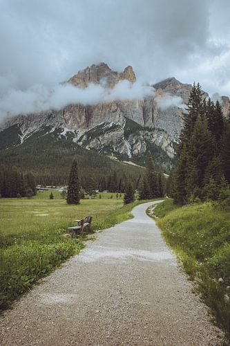 Randonnée dans les montagnes