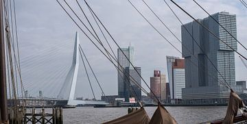 Erasmusbrug Rotterdam van Paul Algra