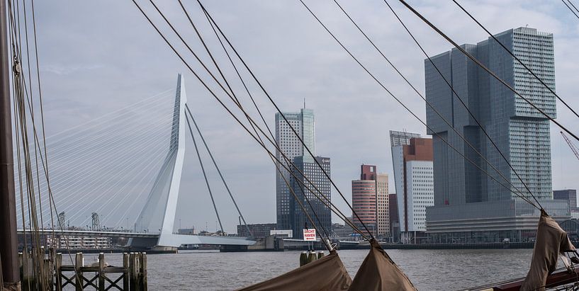 Erasmusbrug Rotterdam par Paul Algra