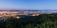 Blick vom Uetliberg auf Zürich und den Zürichsee bei Nacht von Werner Dieterich Miniaturansicht