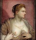 Jacopo Tintoretto. Porträt einer Frau, 1550 von 1000 Schilderijen Miniaturansicht