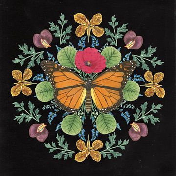 Butterfly Mandala I Black, Wild Apple Portfolio by Wild Apple